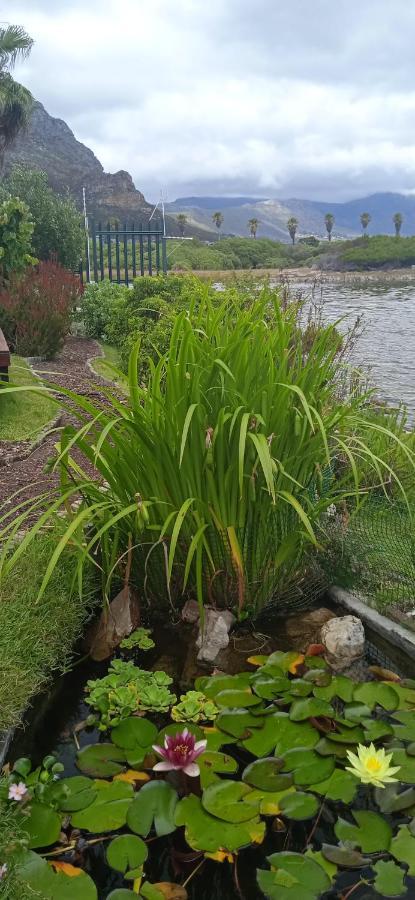 Vlei Cove Guesthouse Cape Town Exterior photo